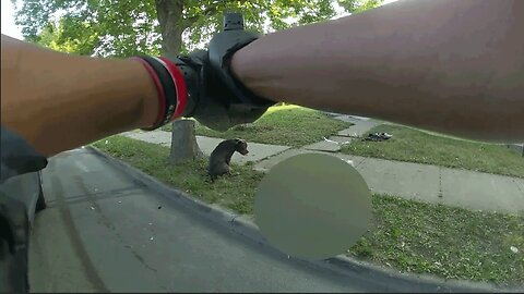 Dog Attacks People on the Street… Cops Forced to Take Action!