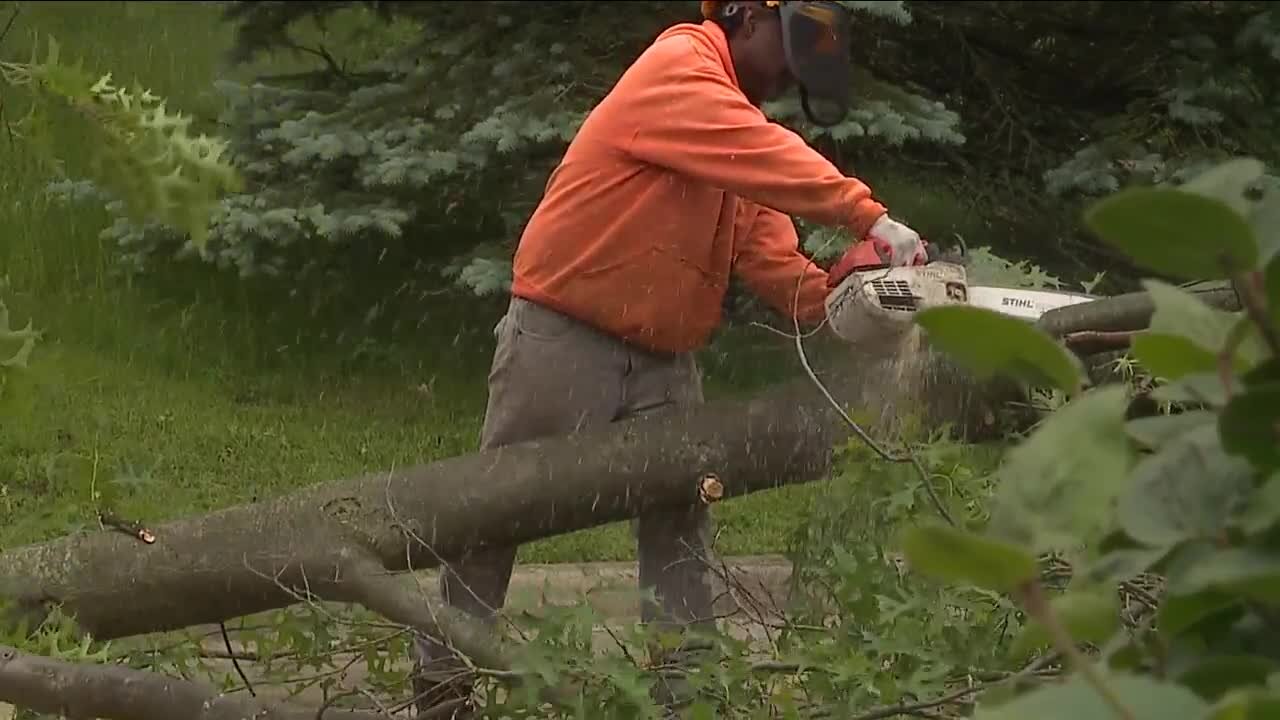 Local tree services facing staffing shortages, struggle with high demand after strong winds