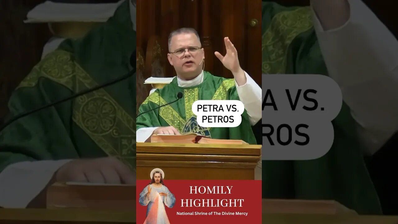 Petra vs Petros #DivineMercy #marianfathers #frchrisalar #homilyhighlight #christian #catholic