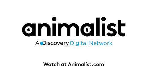 Fatal Attractions: Tiger Shot After Mauling