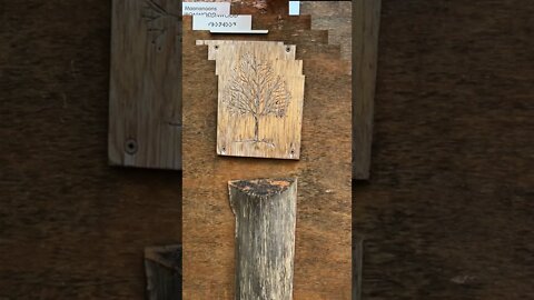 Have you seen these? | Shapes of Trees & Tree Trunks | Sensory Path | MacEwan Terrace Garden