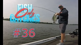 Huge Crappie Caught By Accident!!!