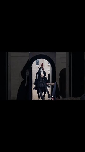 Horse almost kicks the soldier #horseguardsparade