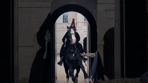 Horse almost kicks the soldier #horseguardsparade
