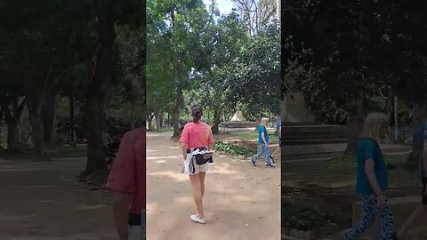 JARDIM BOTÂNICO-RJ.🇧🇷