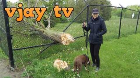 WHITBY WIND STORM