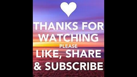 Funny Cat Videos
