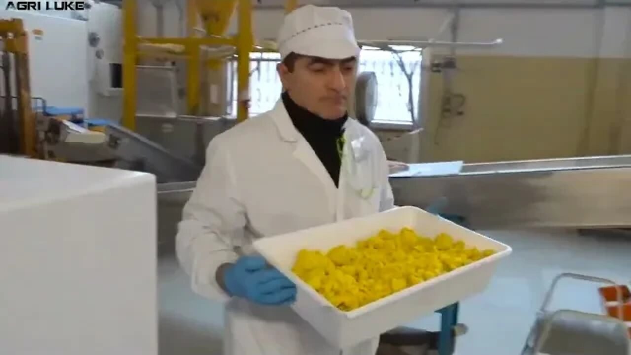 Amazing dry pasta making process with fully automated production line