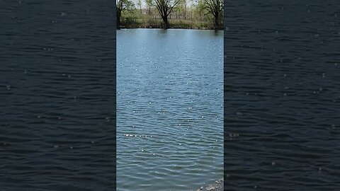 Nature 8. Sparkeling Pond