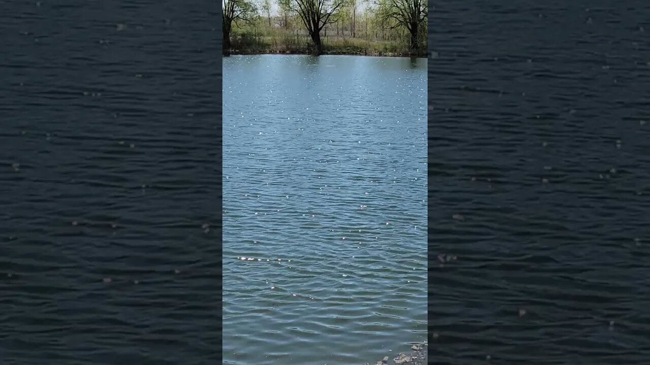 Nature 8. Sparkeling Pond