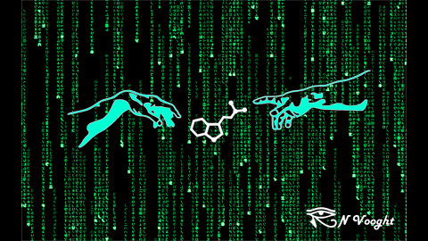 DMT Temples in the Brain Part 2