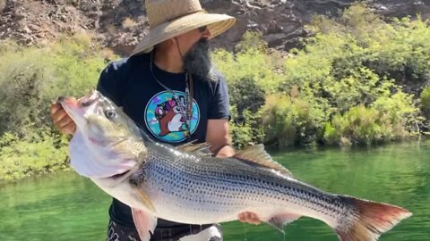 Striper fishing YYEEEOOOOWWWW!!!