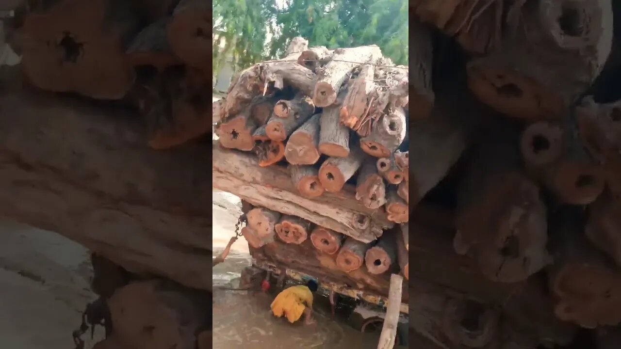 Aoo😱mere Allah🙏🏻🙏🏻💯