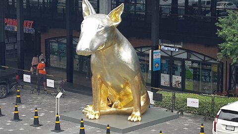 The Biggest Dog Statue in Bangkok