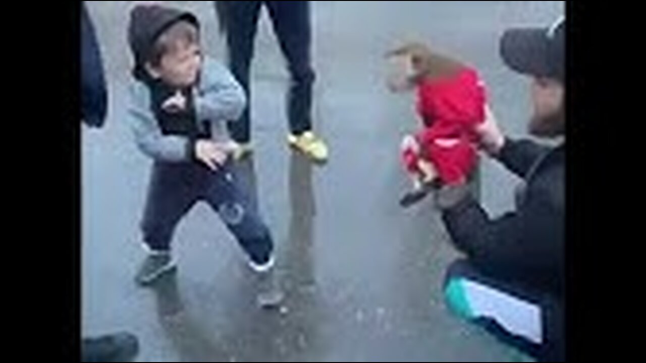 Watch The Funniest Person Hasbulla Funny Reactions Boxing with monkey Hilarious Funniest Videos 2023