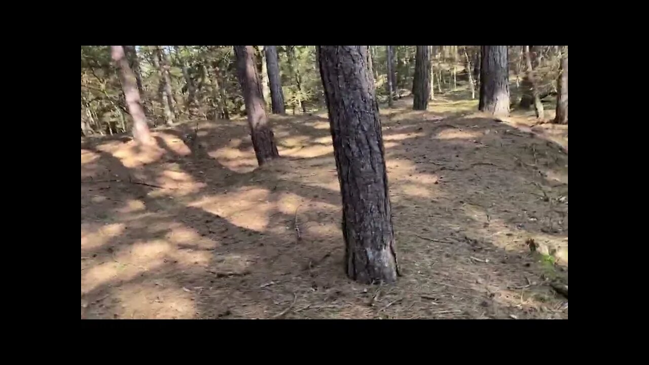 Friday and Allan go to the beach