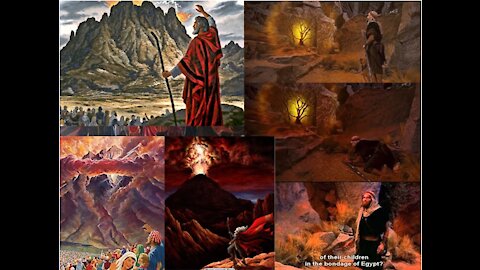 Ps Suzy Antoun-Translation Translocation Astral Projection-God said: What do you see?