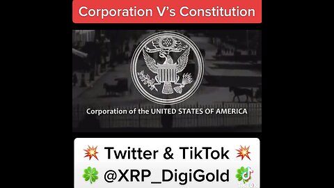 Corporation V’s Constitution