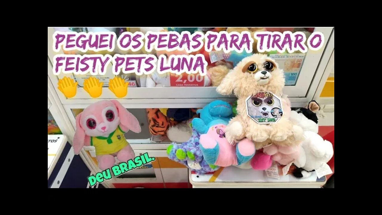 TIREI OS PEBAS, PARA PEGAR O FEISTY PETS LUNA ππΆπ
