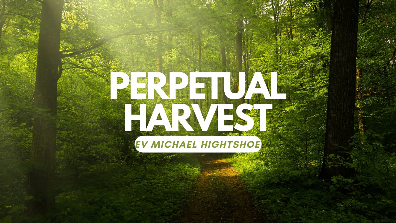 Perpetual Harvest - Does it work? | Morning Increase - BSB