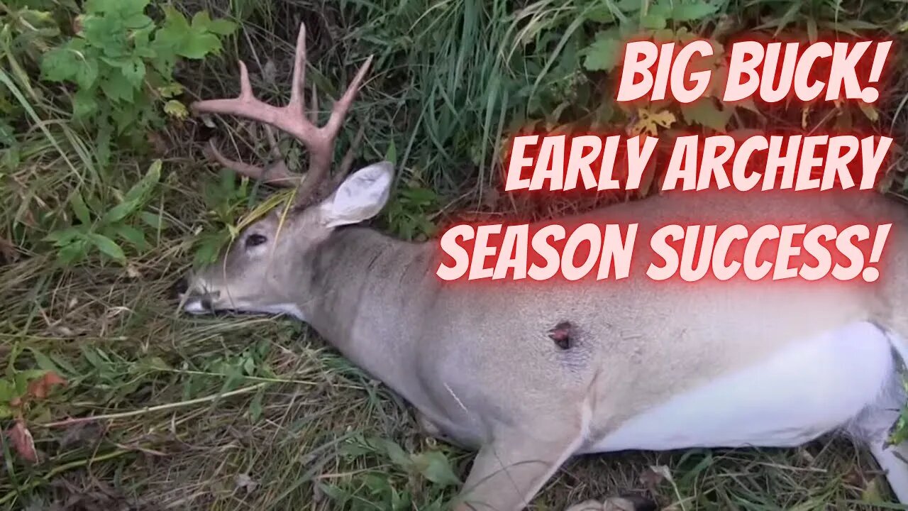 Early Season Big buck with a bow