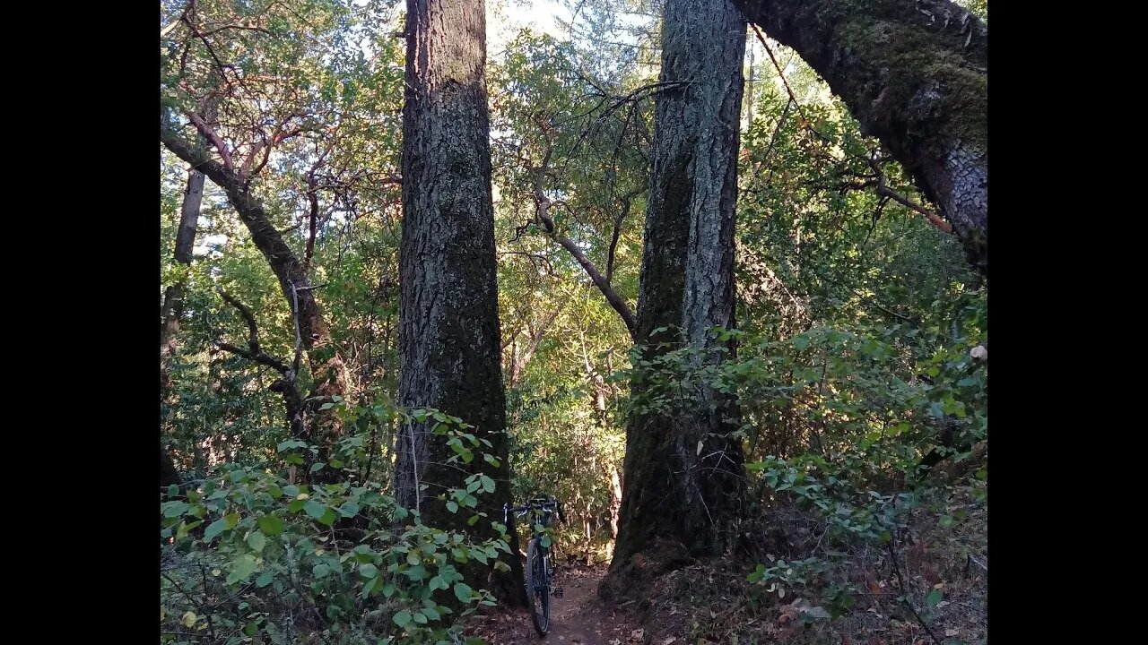 GeoCaching on Lower Table Mountain Trail