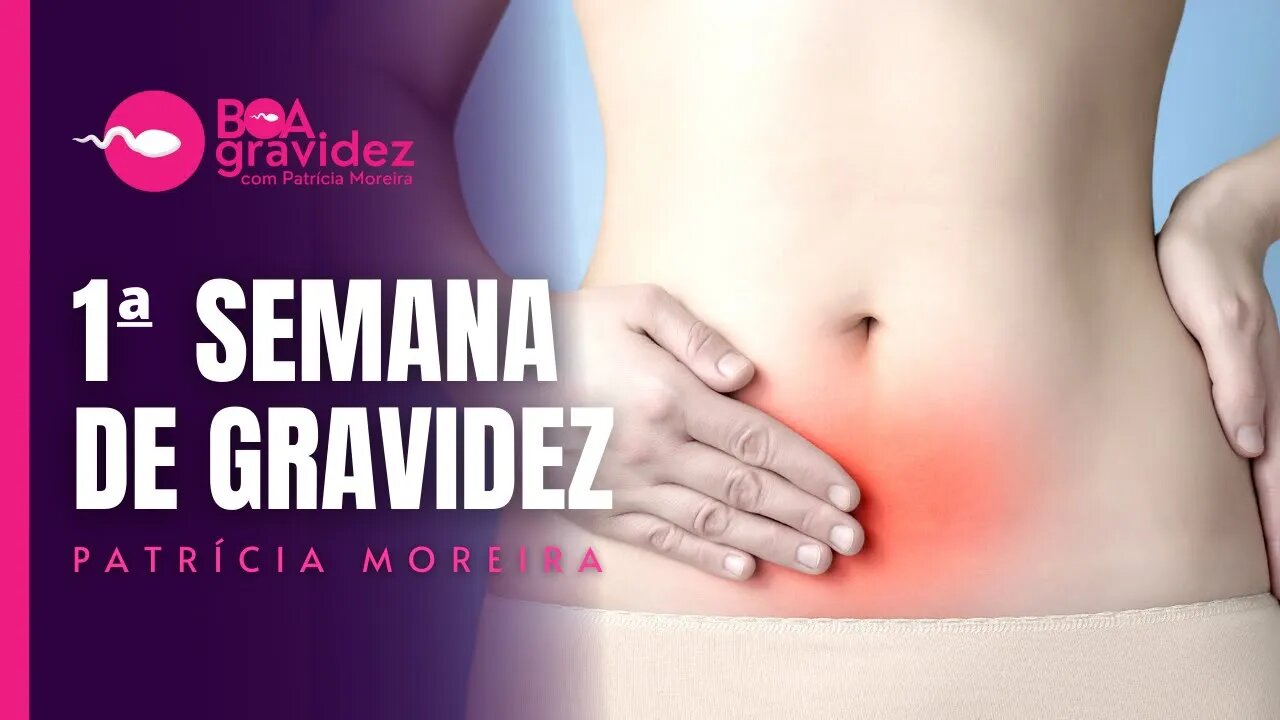 1ª SEMANA DE GRAVIDEZ - Gravidez Semana a Semana