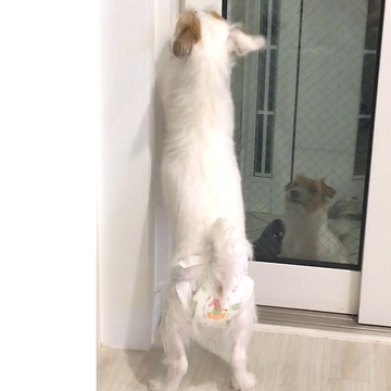 How come you're so late?