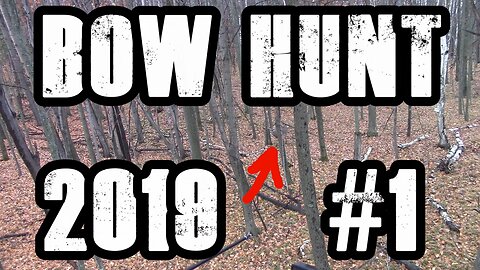 Bow Hunt 2019 #1