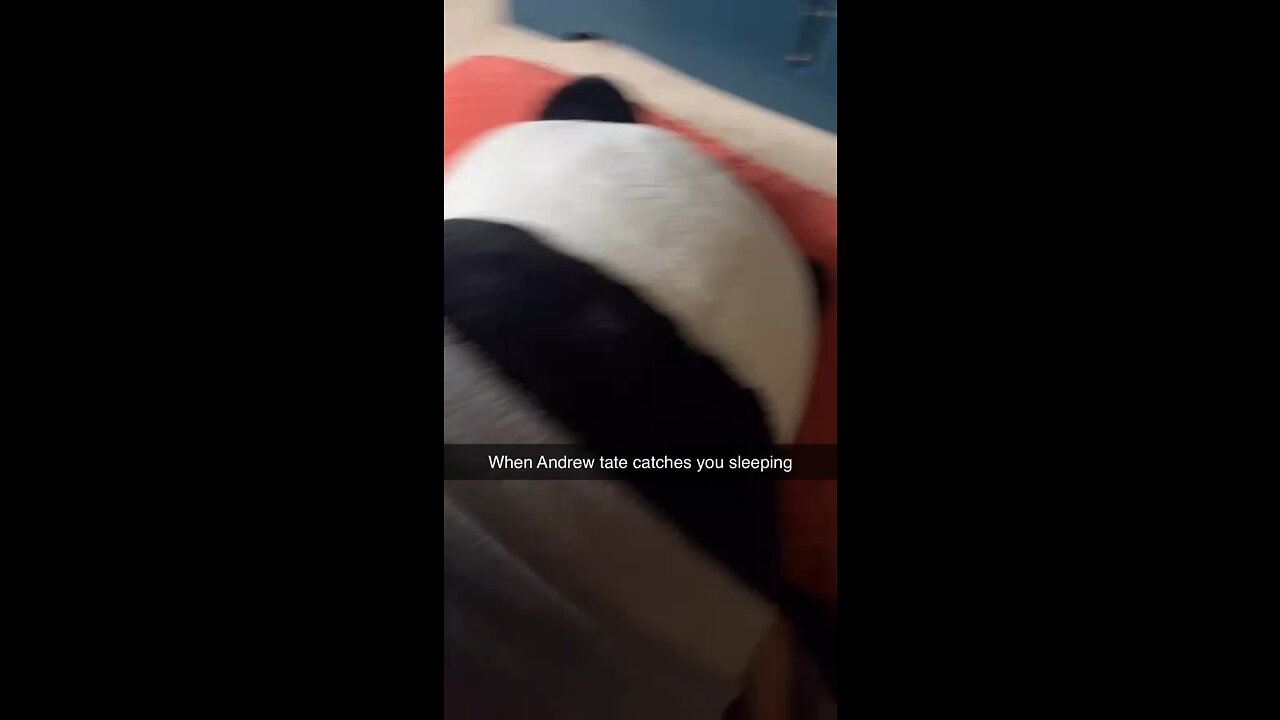 Andrew tate catches you sleeping