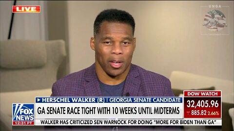 Herschel Walker: Raphael Warnock Is a ‘Wolf in Sheep’s Clothing’