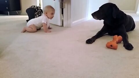 👶baby's first crawl with her dog...🐕🦮