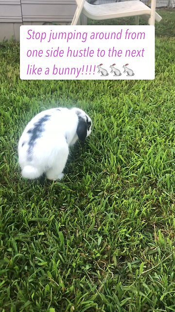 Stop jumping around like a bunny from one side hustle to the next!