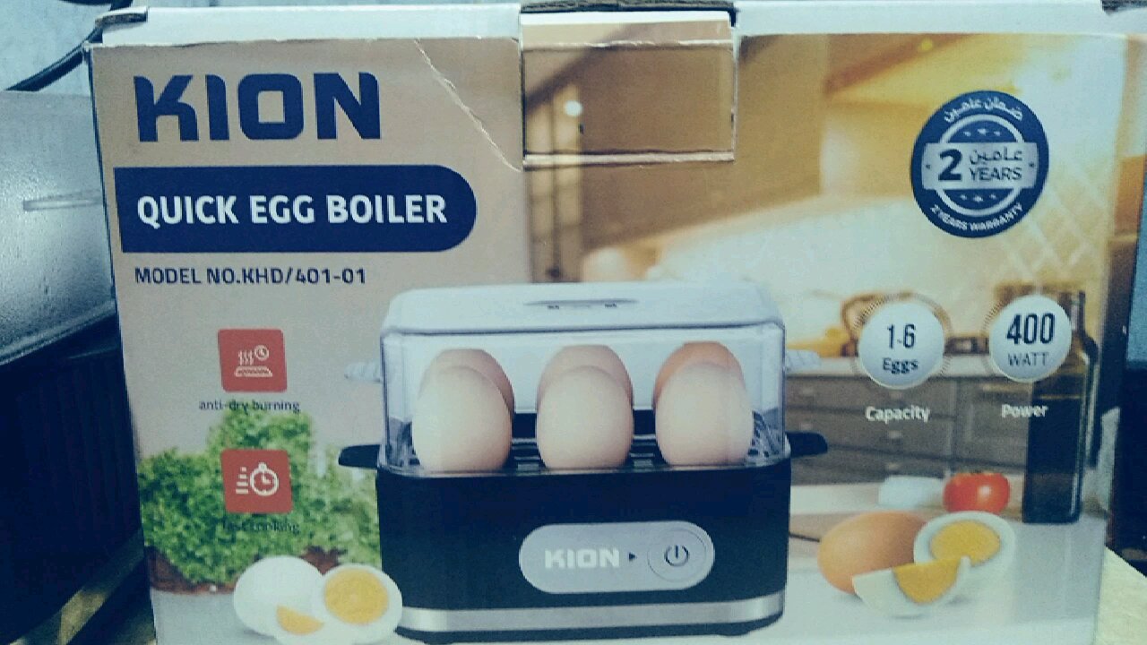 Electronic Egg Boiler