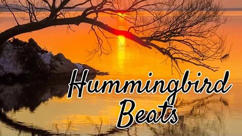 Hip Hop Rap Bright Buddha Kontekst (No Copyright Music)