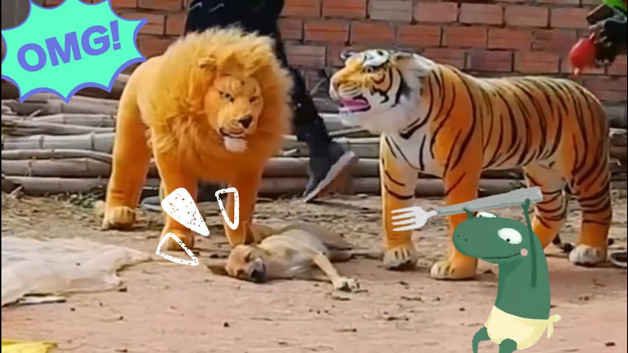 Troll Prank Dog Funny & Fake Lion Fake Tiger