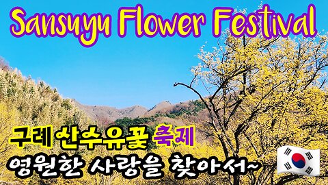 Spring is here 1 - Sansuyu Flower Festival