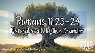 Native and Wild Branches in Romans 11:23-24