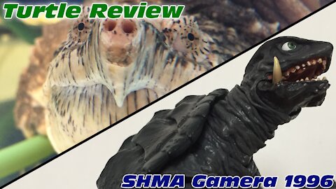 Turtle Review #2 - SH Monsterarts Gamera 1996