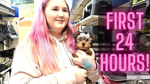 First 24 Hours With My New Puppy!