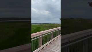 Looking at our campsite from Cavendish beach