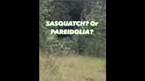 Sasquatch? Or Pareidolia?