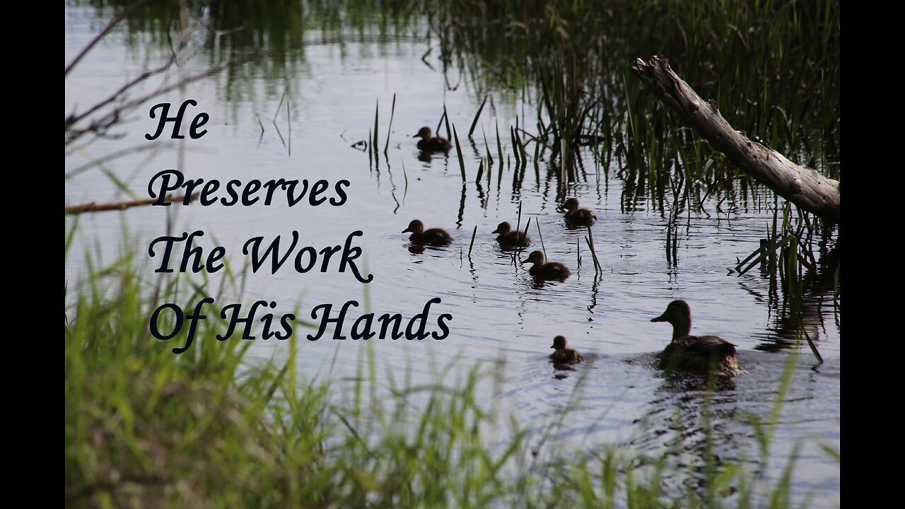 To Preserve The Work Of His Hands