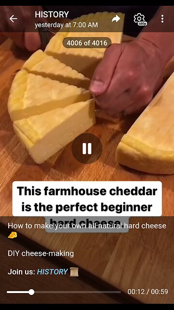 Documentary: Making Hard Cheese