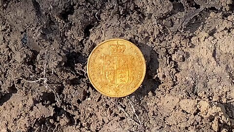Gorgeous Gold Sovereign