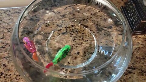 Robot fish
