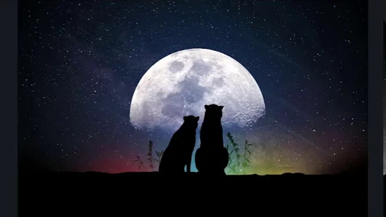 Two Moons - Bobby Richards (Royalty Free Music)