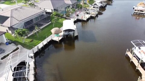 Experts Taking Action in a Canal Where A Dead Manatee Was Discovered