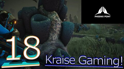 #18 - Danchev's Maze! - Phoenix Point (Arkham Update) - Legendary Run by Kraise Gaming!