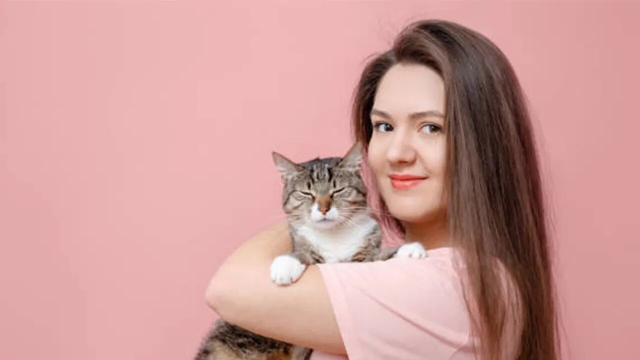 Cute and Funny Cat Videos Compilation - Don't try to hold back Laughter 😂 - FairyCats